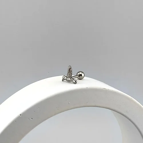 پیرسینگ گوش پرنده