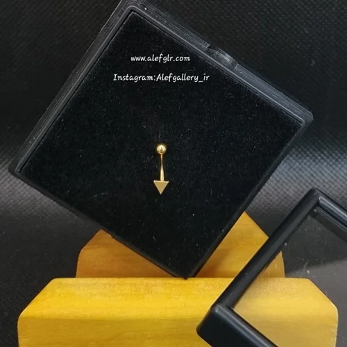 پیرسینگ ابرو مثلثی کد 250201