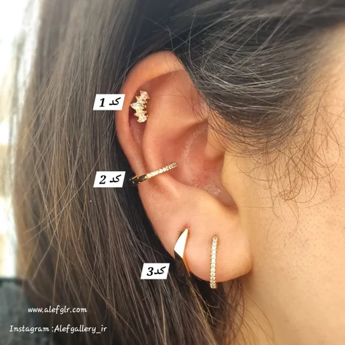 گلگوش حلقه ای ژوینگ کد 250098